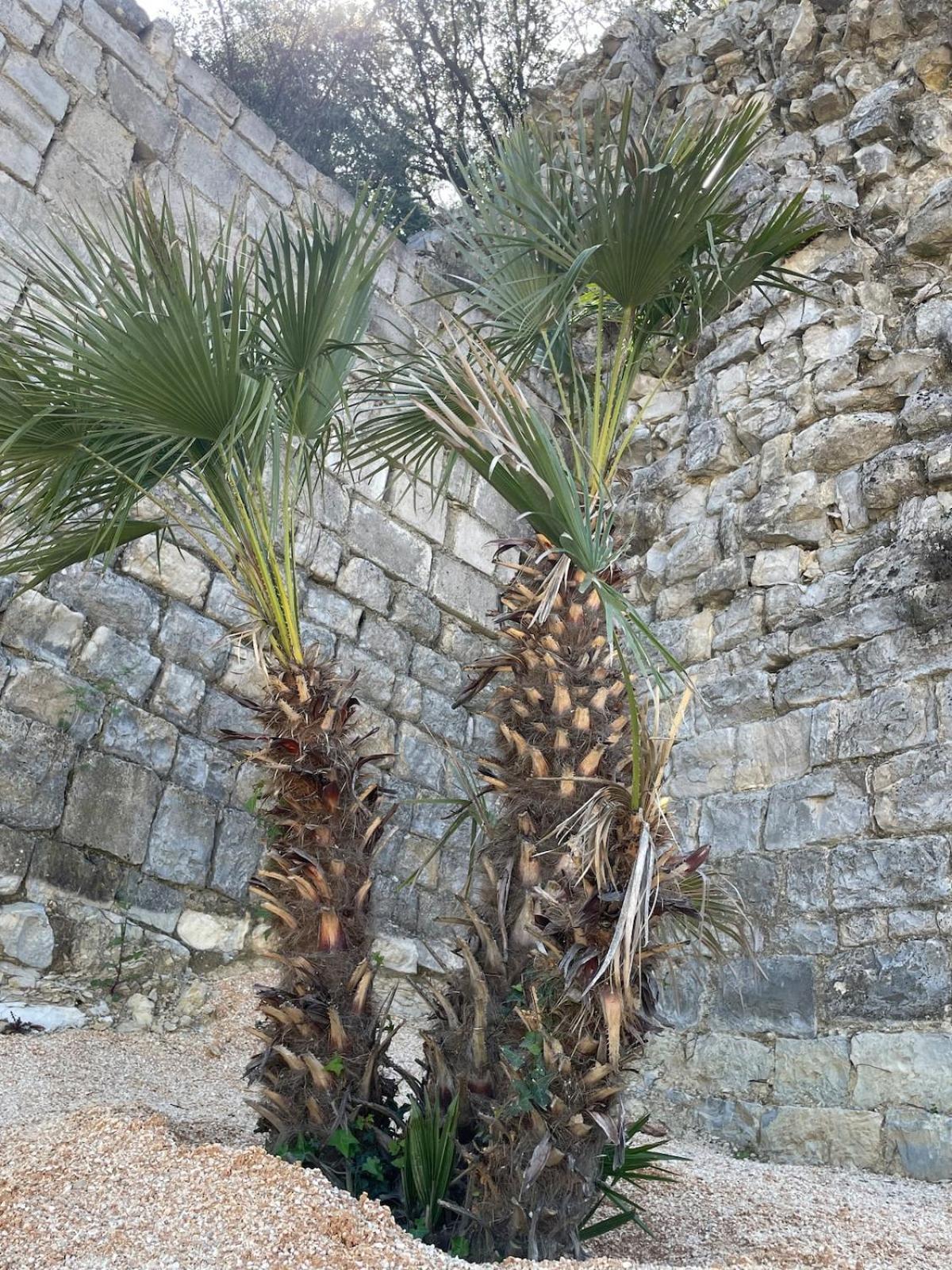 Le Castellas - Gite En Pleine Nature Montmirat Ngoại thất bức ảnh